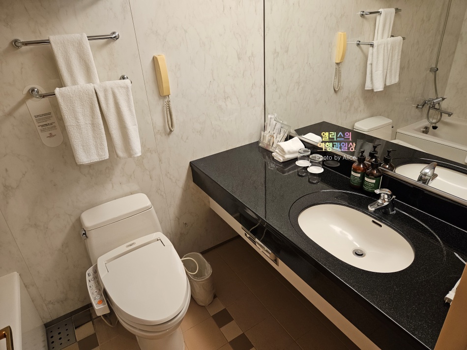 아나 크라운 플라자 도야마 호텔 더블 프리미엄 룸 투숙후기