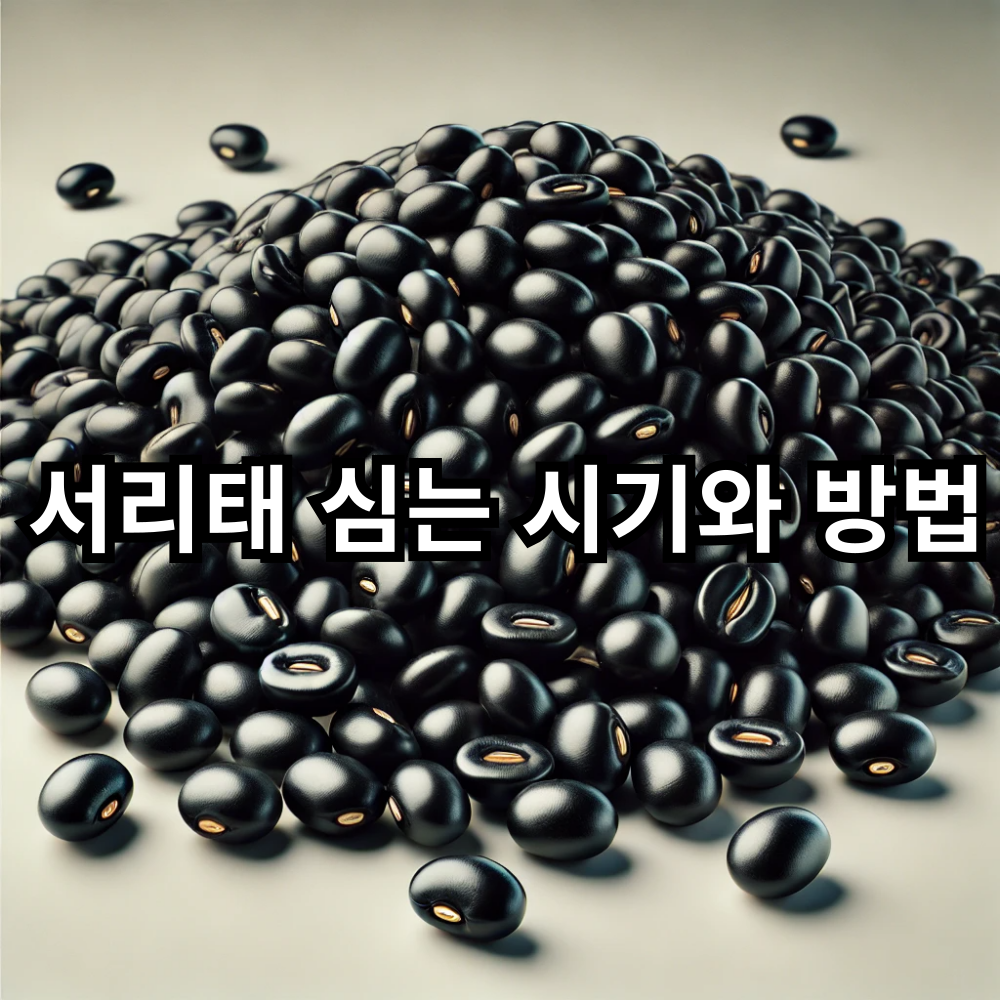 서리태 심는 시기와 방법