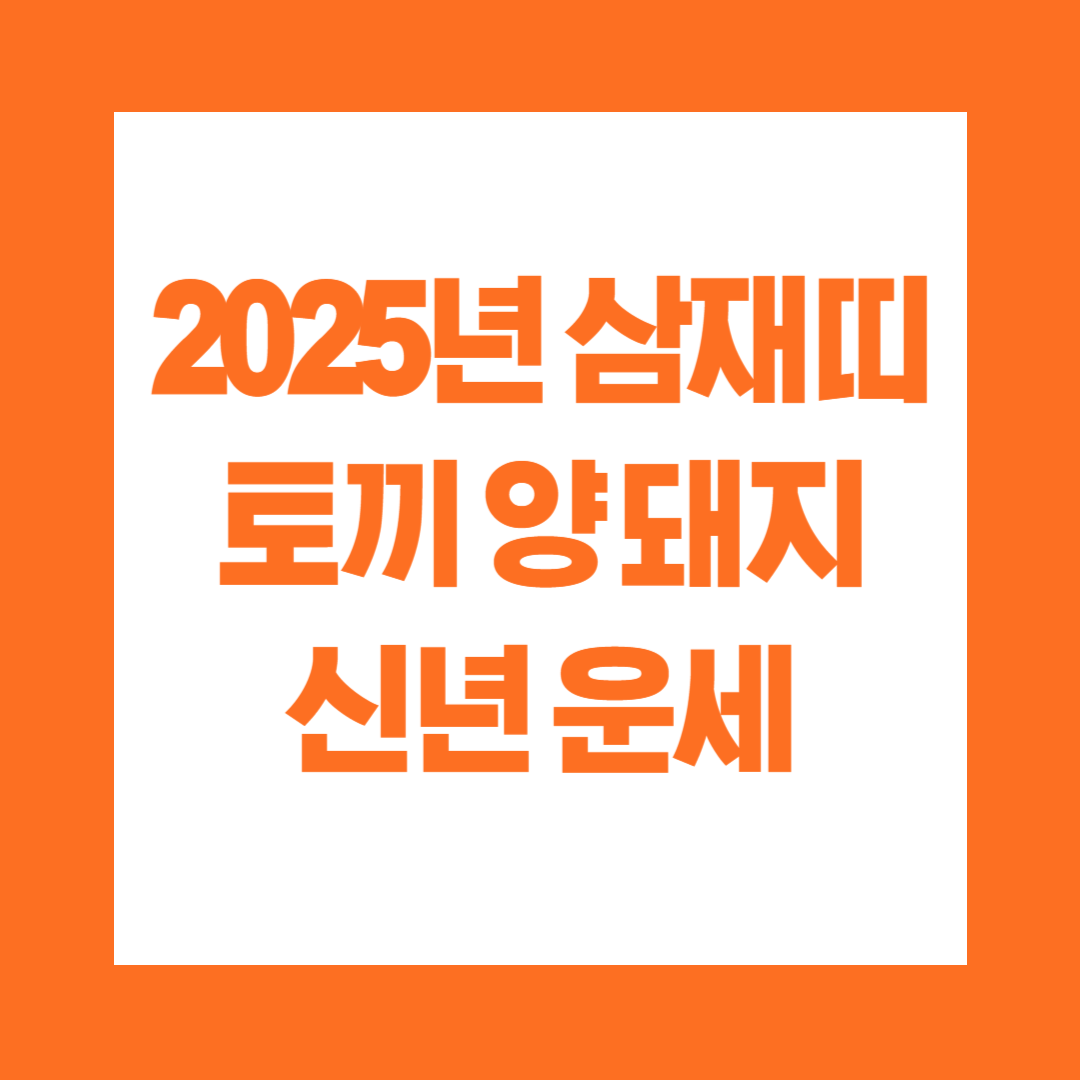 2025년 삼재띠 토끼 양 돼지 신년 운세