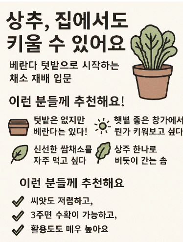 상추 키우기