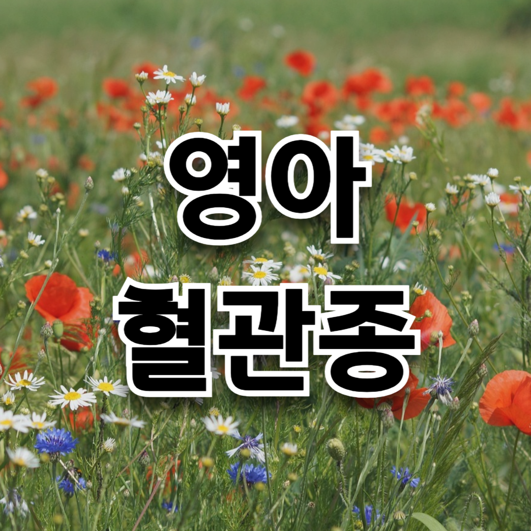 영아 혈관종 썸네일