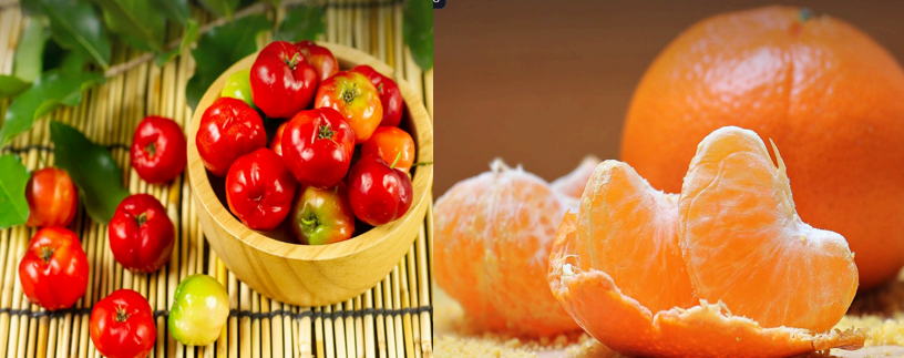 면역력 높이는 슈퍼푸드 10가지