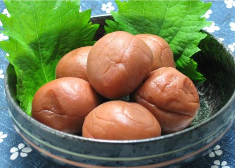 그릇에-담긴-매실청