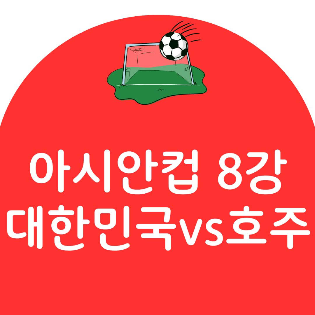 λνλ―Όκ΅ vs νΈμ£Ό μ μ 