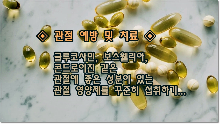 글루코사민,-보스웰리아-콘드로이친-관절영양제