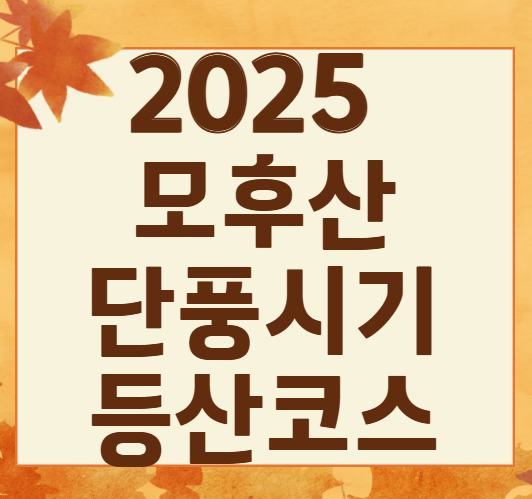 모후산 단풍 절정 시기 &amp; 2025 최신 등산 코스 BEST 추천 ❘ 화순 여행
