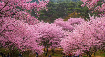 화담숲