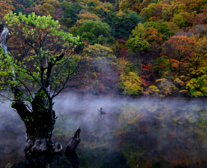 주산지