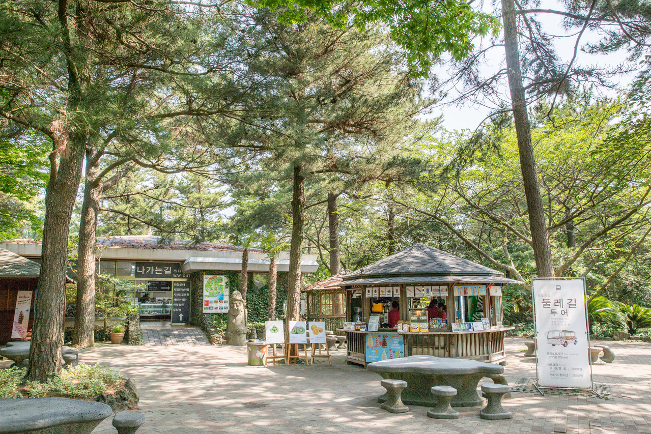 한림공원 부겐빌레아 축제