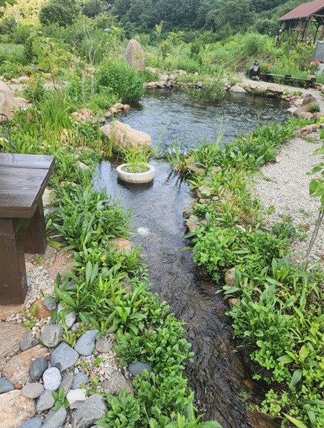 삼척-동작골-노래꽃피는집-LP카페