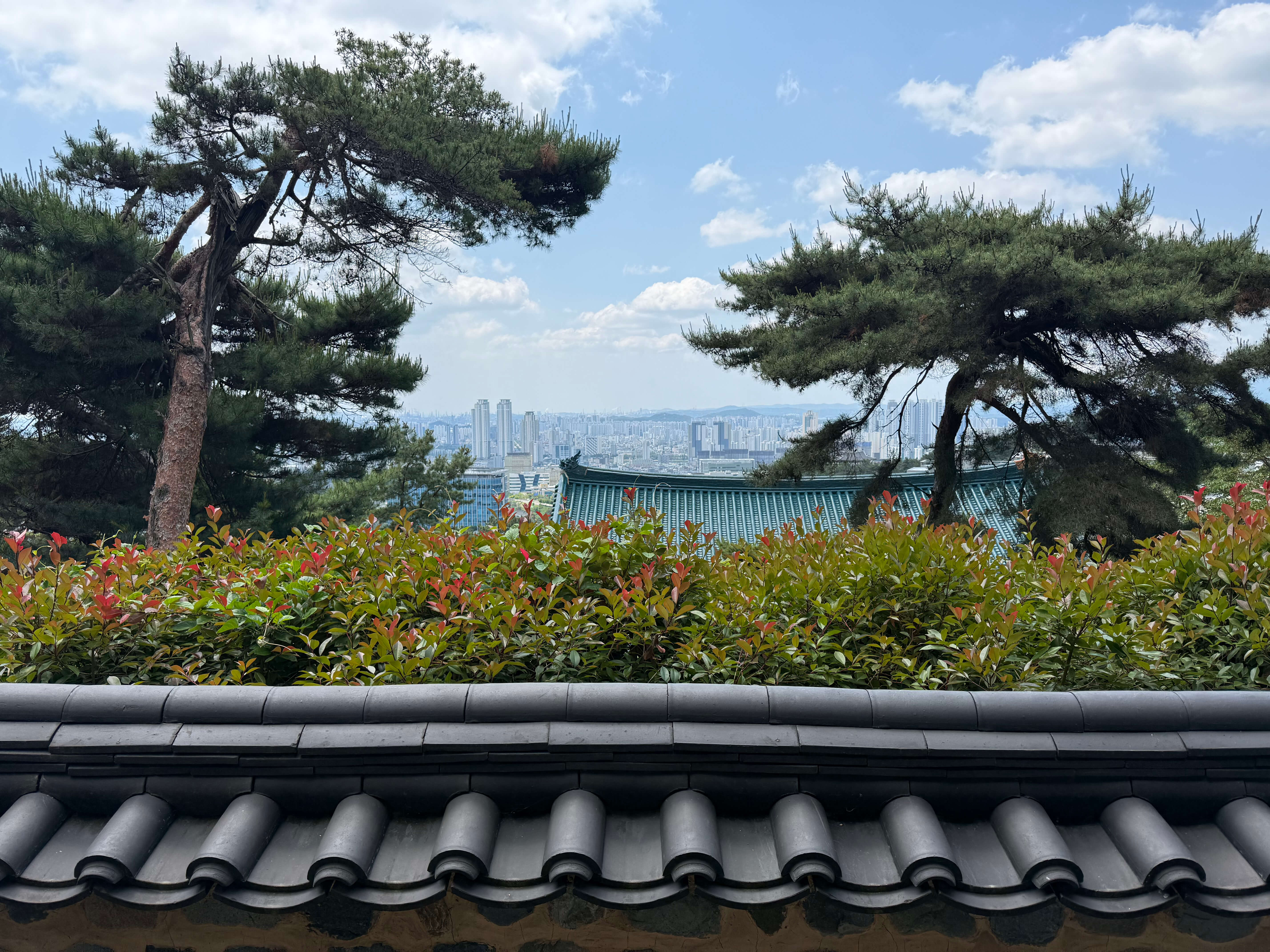 울산 도심지가 내려다 보임