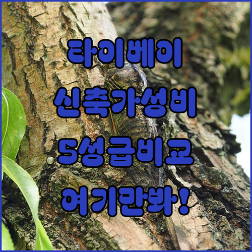 대만 타이베이 여행 숙소 추천 5성급..