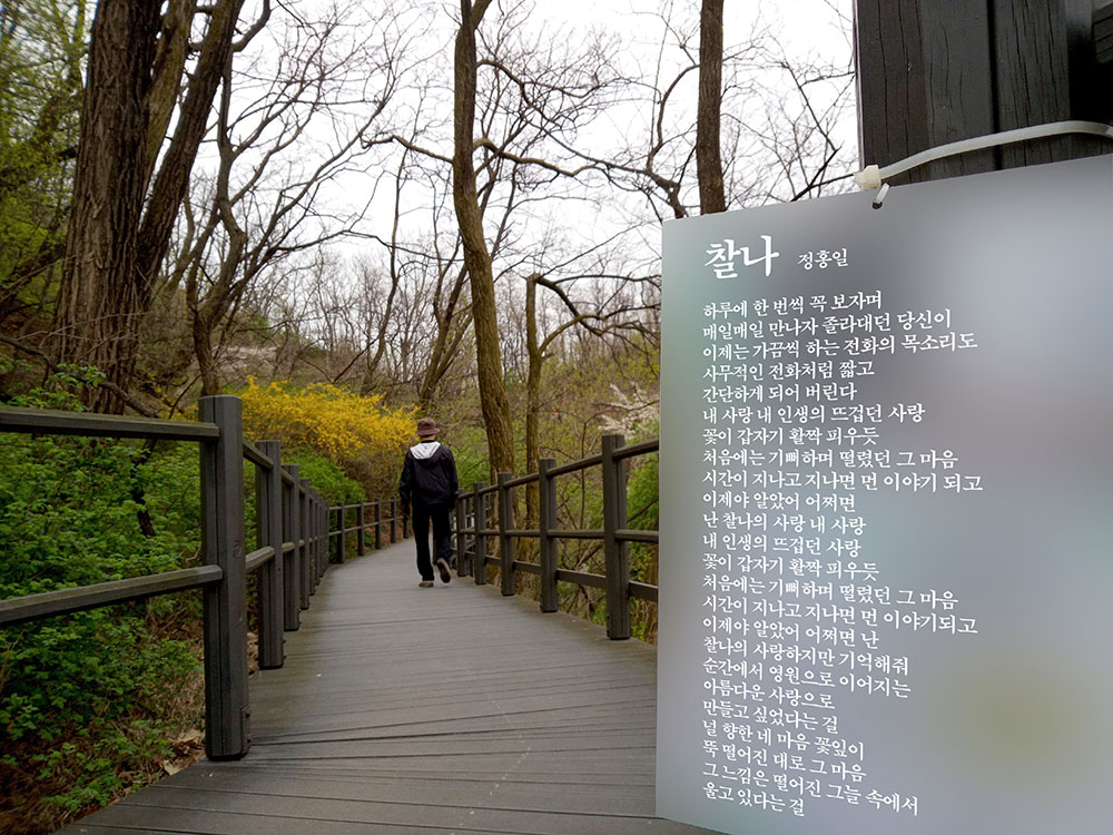 정홍일(JeongHongil)의 찰나