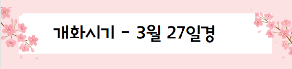 봄꽃 여행지
