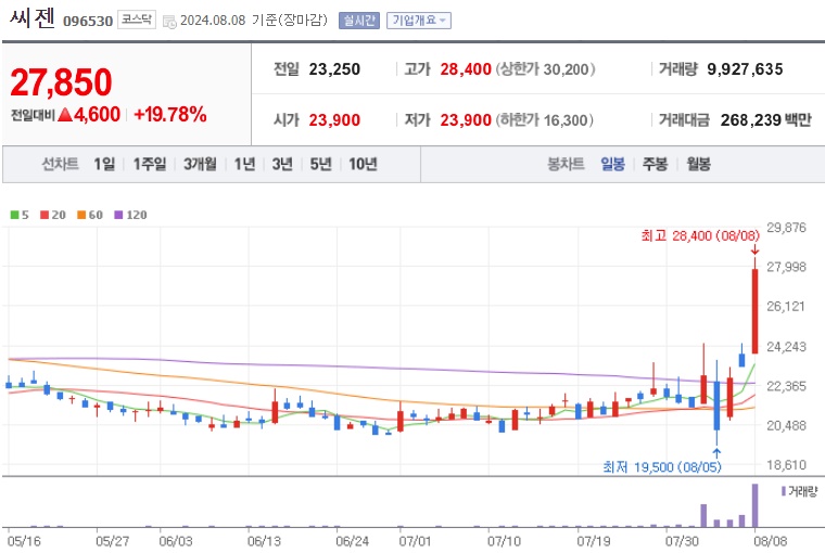 씨젠 주가.jpg