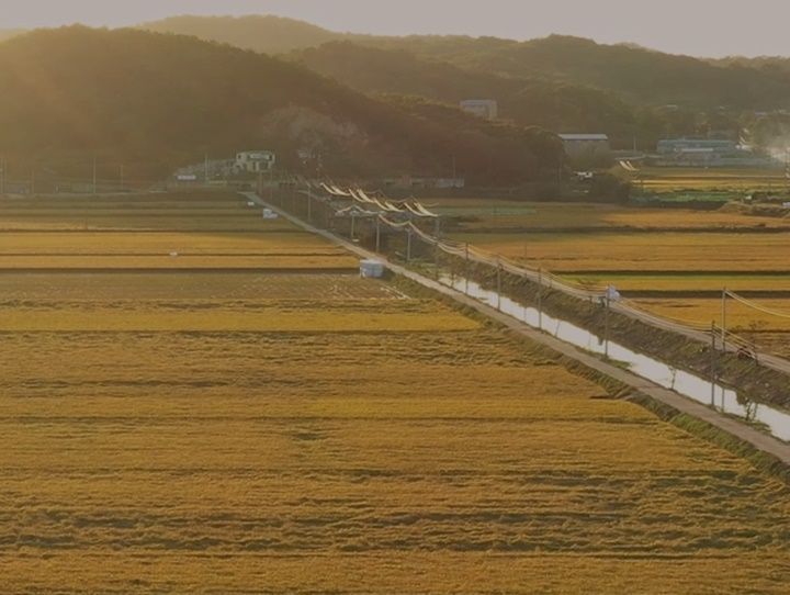 요소수 관련주