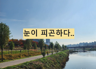 Alt 속성 문제 해결 설명 이미지