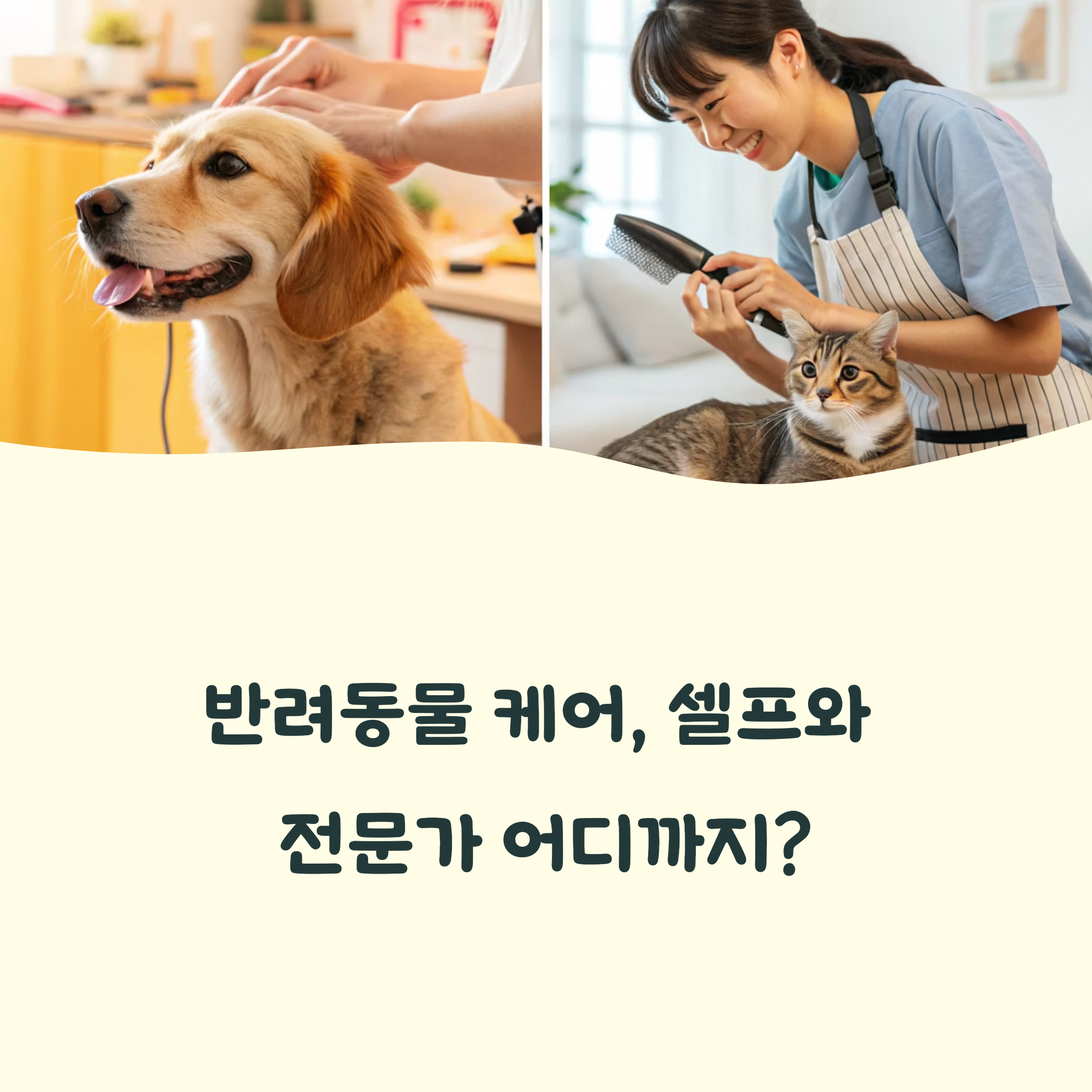 전문가의 손길이 꼭 필요할까?