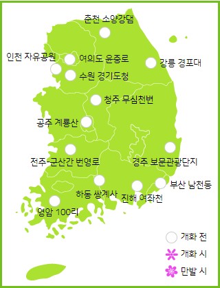 주요 벚꽃 군락지 위치