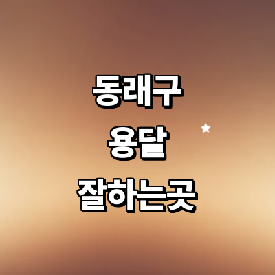부산 동래구 용달