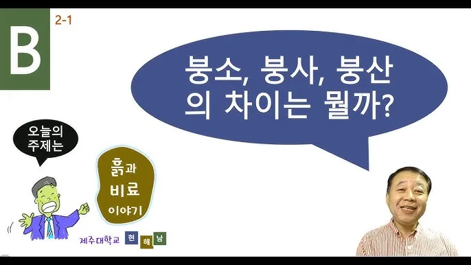 붕산의 효능 비료 바퀴벌레 개미 퇴치법 칼슘 용도 붕사의 차이 만드는 법 안내집_7
