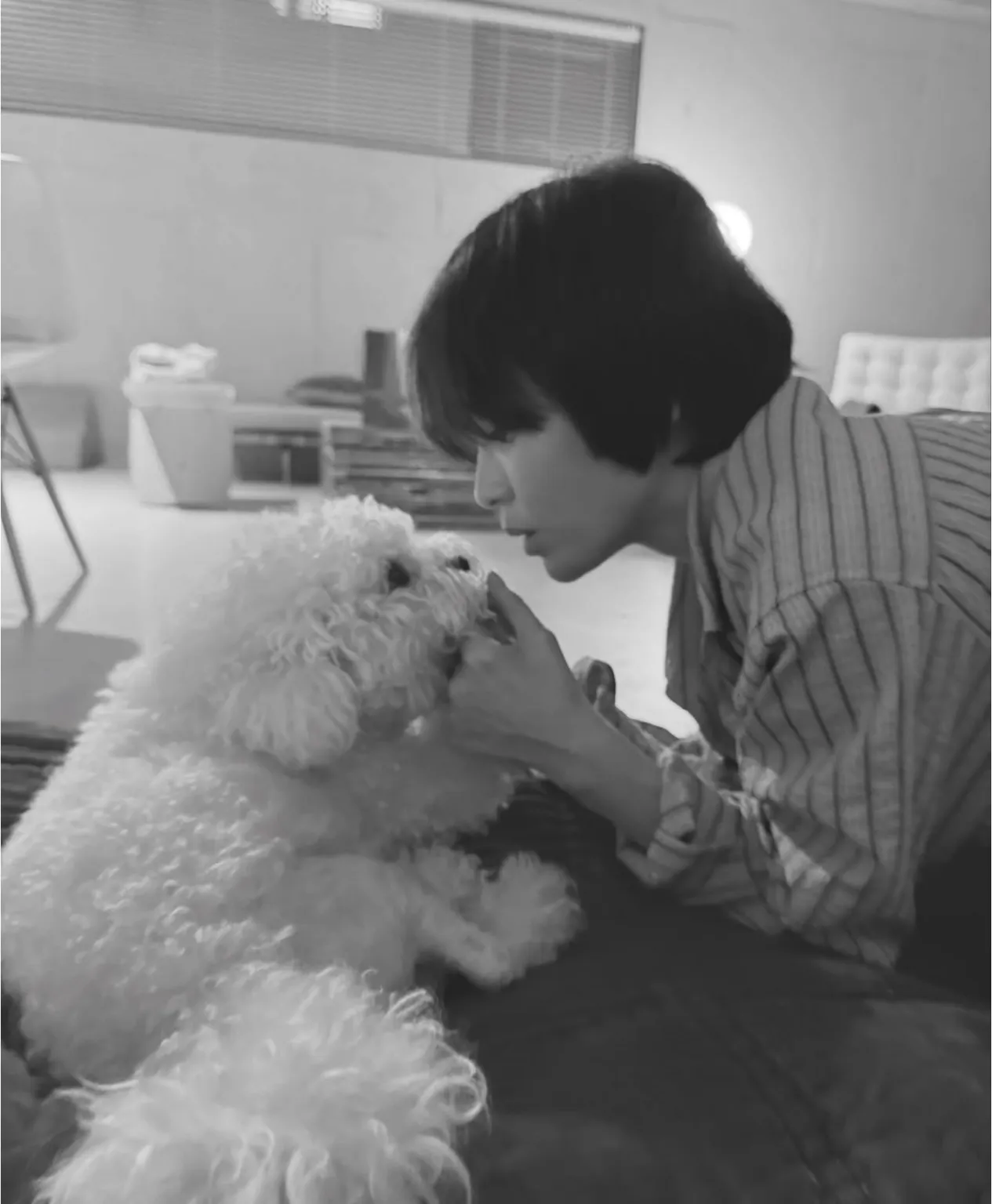 광복절80주년, 송혜교 서경덕, 멕시코독립운동, 독립운동스타, 차주영, 류승룡, 김남길, 의미있는기부, 송혜교 서경덕과 독립운동 알리기, 역사기부, 광복절프로젝트, 해외한인역사, 독립운동유산, 멕시코한인사회