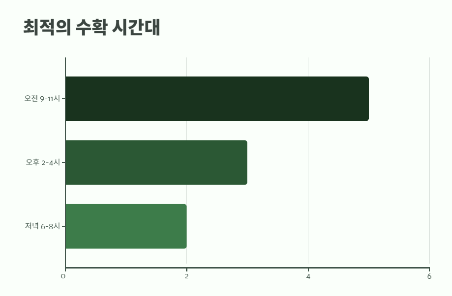 산딸기 수확시기 베스트 타이밍 4