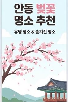 안동 벚꽃 명소