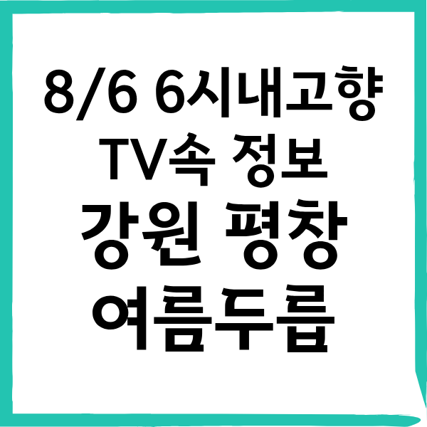 8월6일 6시내고향 여름두릅 파는곳