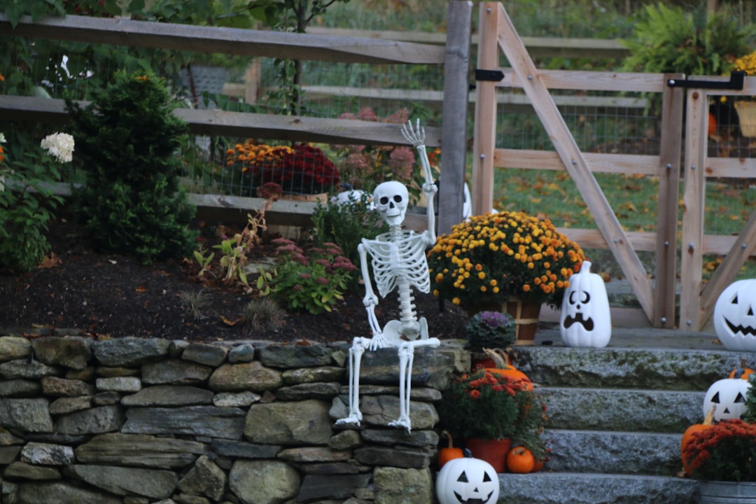 Skeleton
