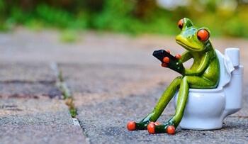 개구리화장실-꿈해몽-썸네일