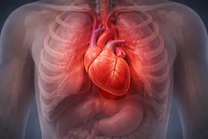 왼쪽 갈비뼈 아래 통증