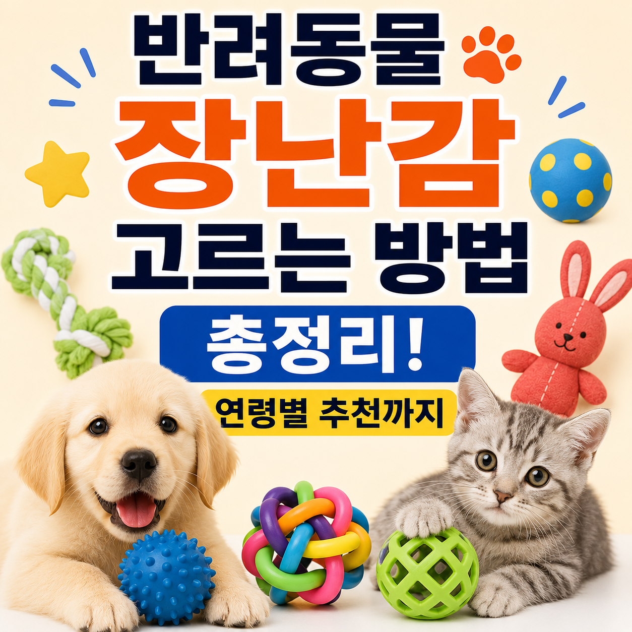 반려동물 장난감