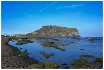 제주도 – 봄꽃 천국에서의 힐링 여행