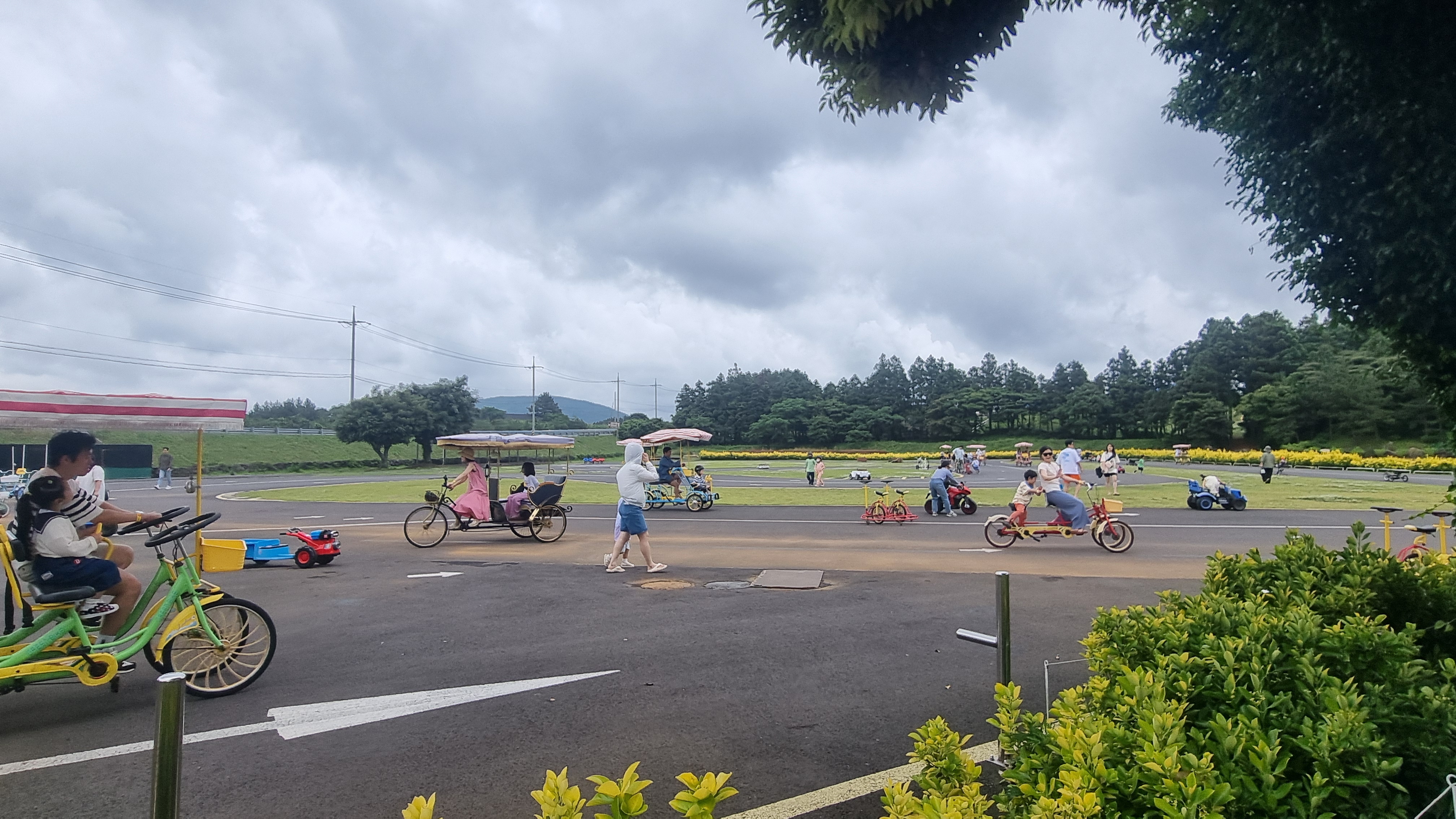 제주 목장카페 밭디