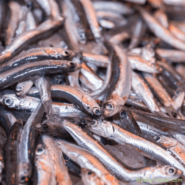 여름철 입맛 돋우는 엔초비