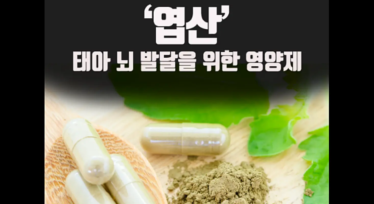 엽산