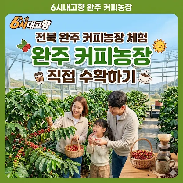 6시내고향 완주 커피농장