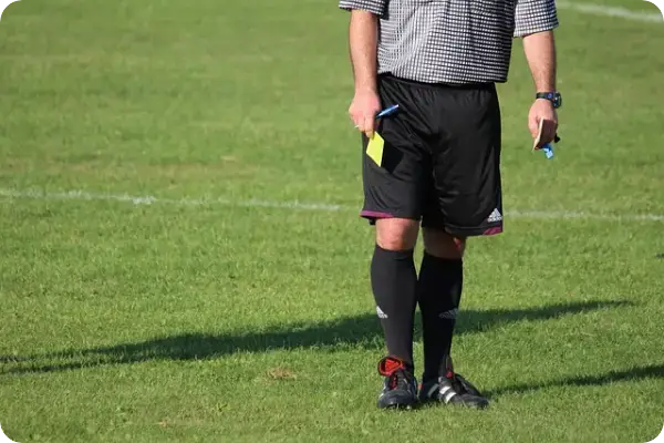 박지영 특검보 프로필