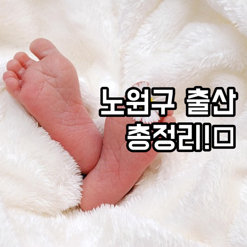 2025 노원구 출산 장려 정책 총정..