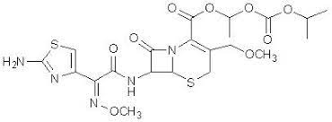 바난정 주성분 세프포독심프록세틸