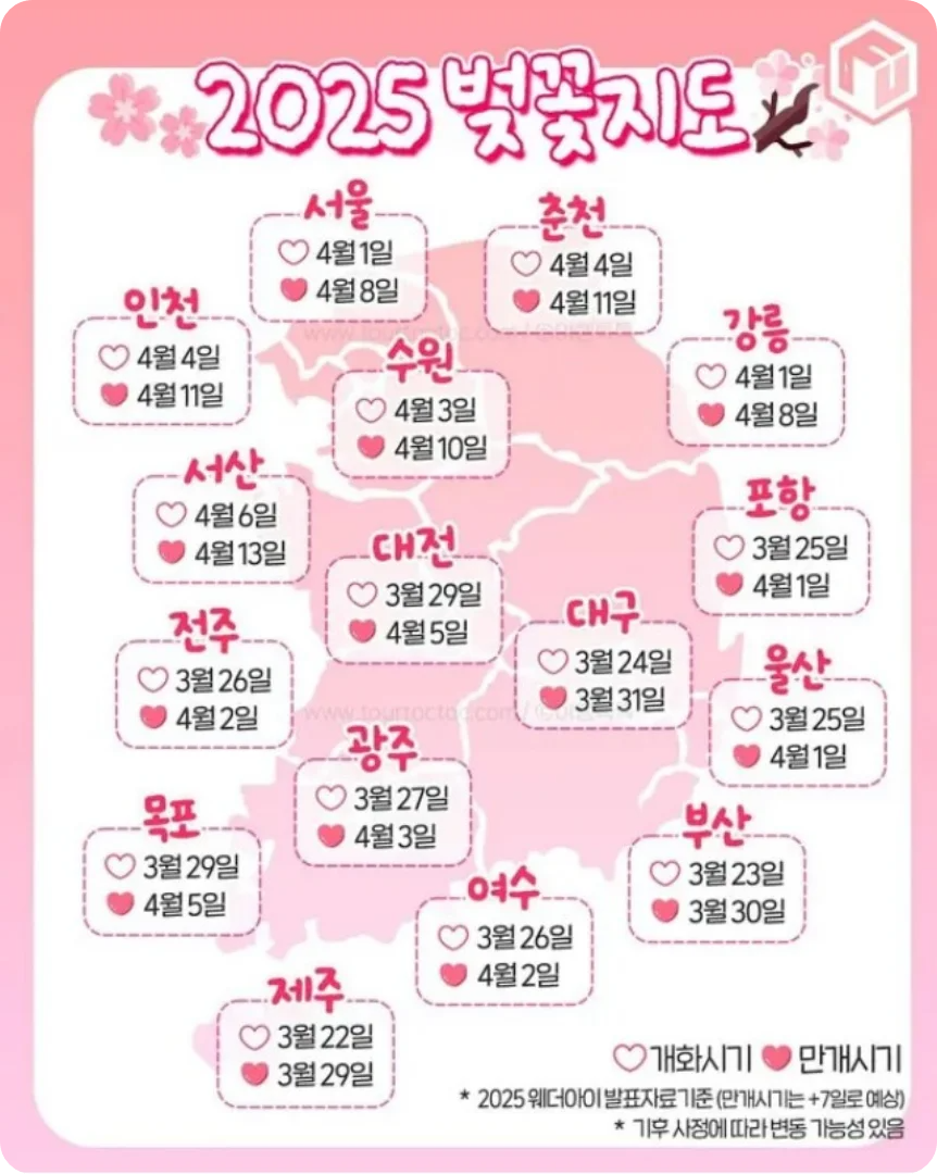 2025 전국 벚곷 지도