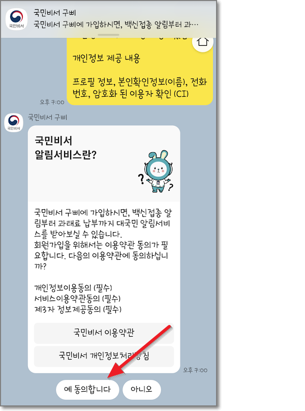 카카오톡 국민비서 신청방법