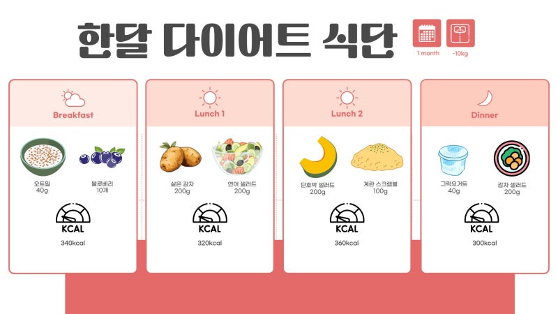 다이어트 정보