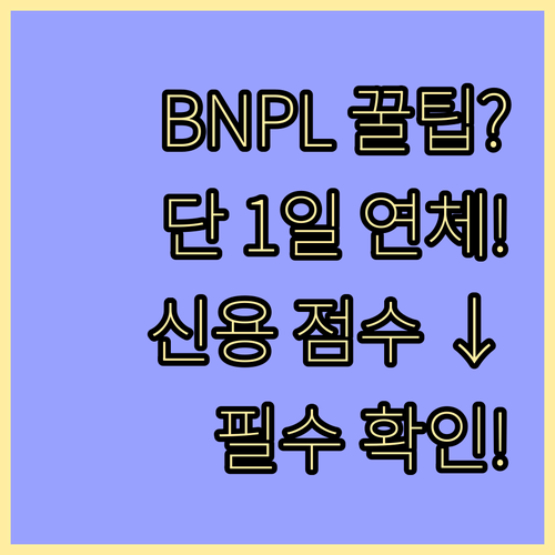 BNPL 단기 무이자 사용 시 주의사..