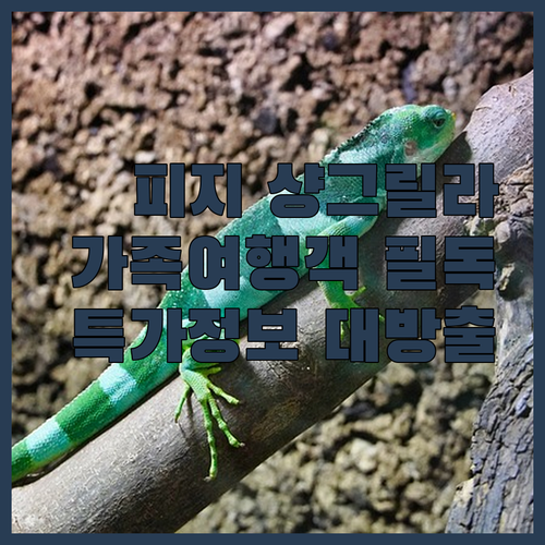 샹그릴라 피지, 가족 여행객 필독!