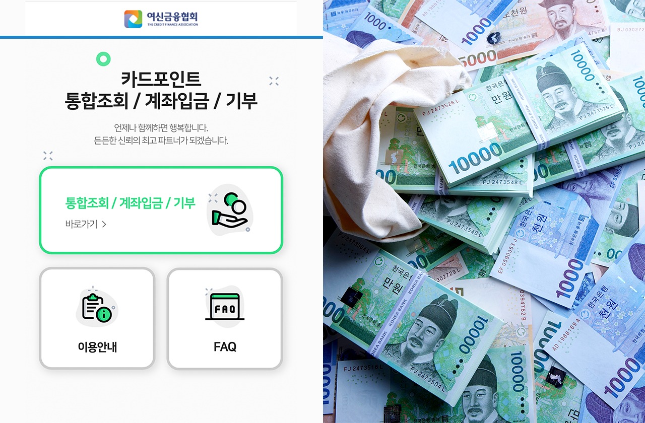 포인트 통합조회시스템