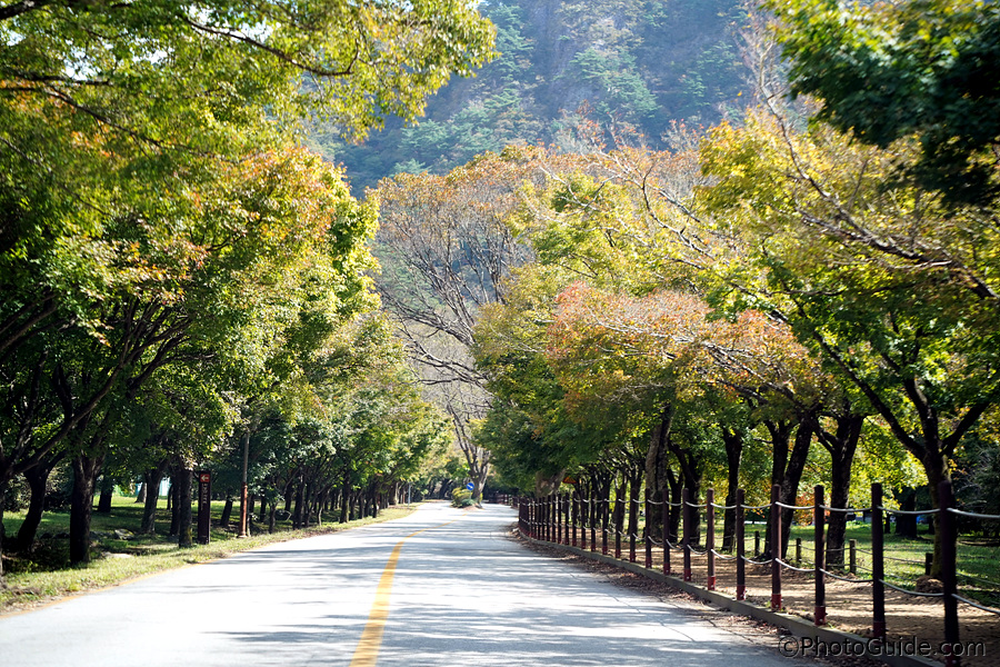 내장산-단풍