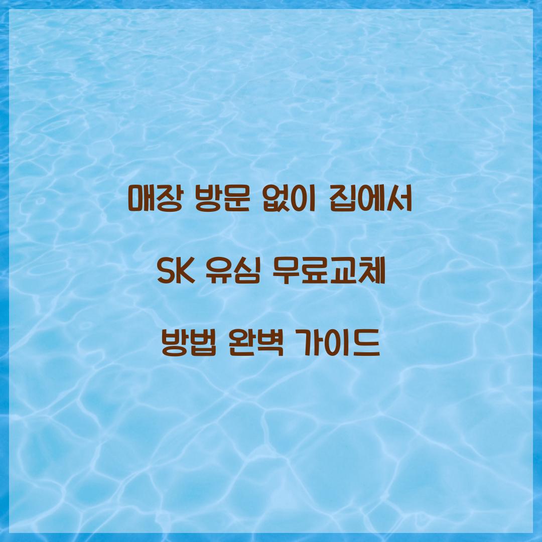 매장 방문 없이 집에서 SK 유심 무료교체하는 방법