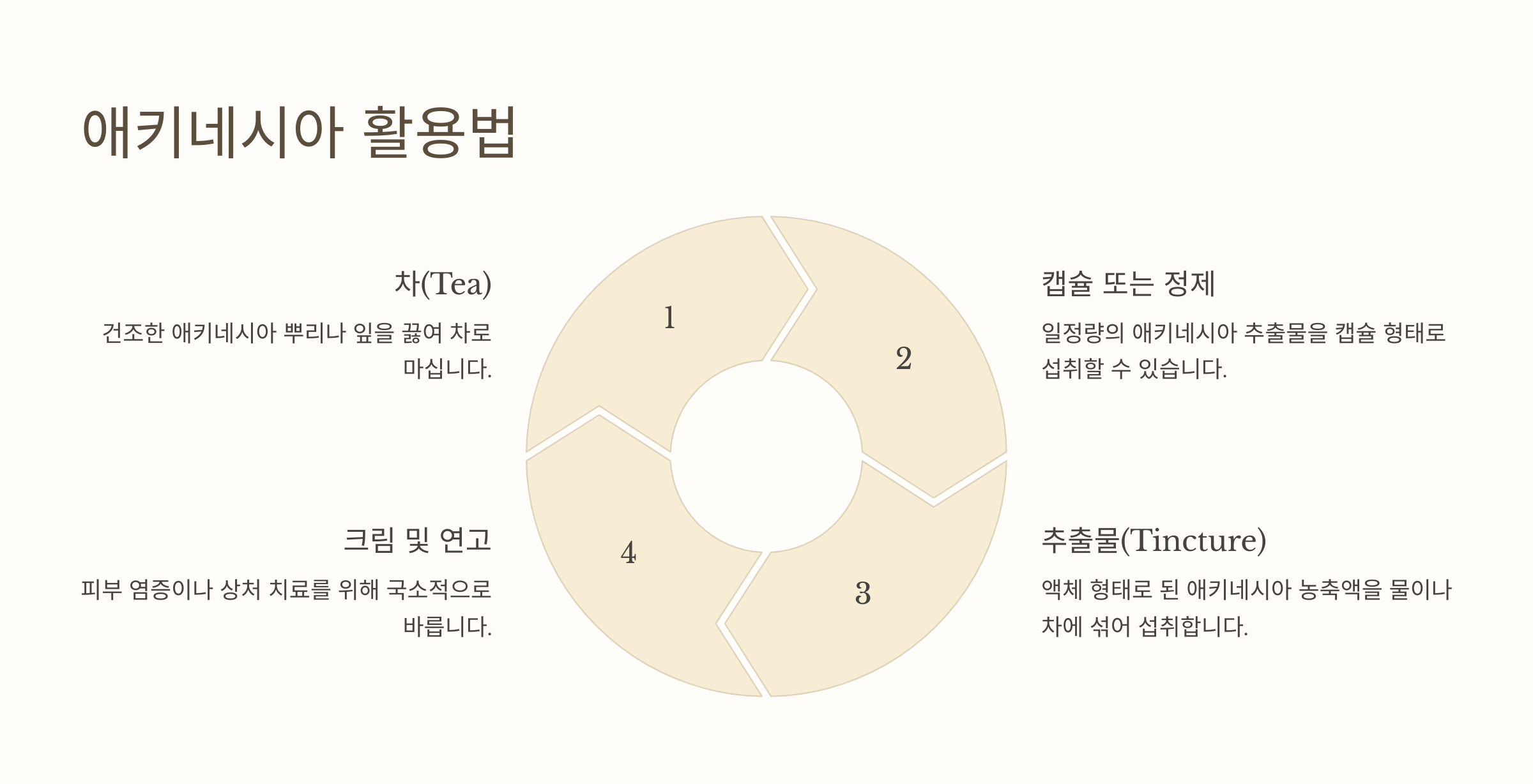 에키네시아꽃-사진